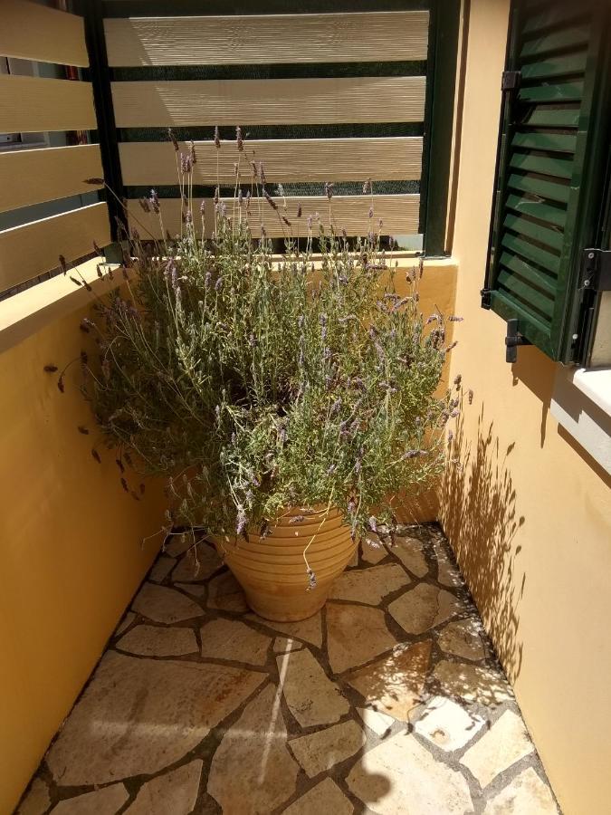 דירות Eirini'S House ליאפאדס מראה חיצוני תמונה